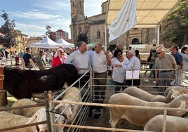 El consejero de Agricultura, Julián Martínez Lizán, ha asistido a la inauguración de la tercera edición de la Feria Ganadera de la comarca de Molina de Aragón