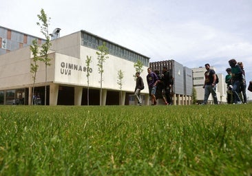 Casi el 40% de los alumnos de las universidades son de otra región