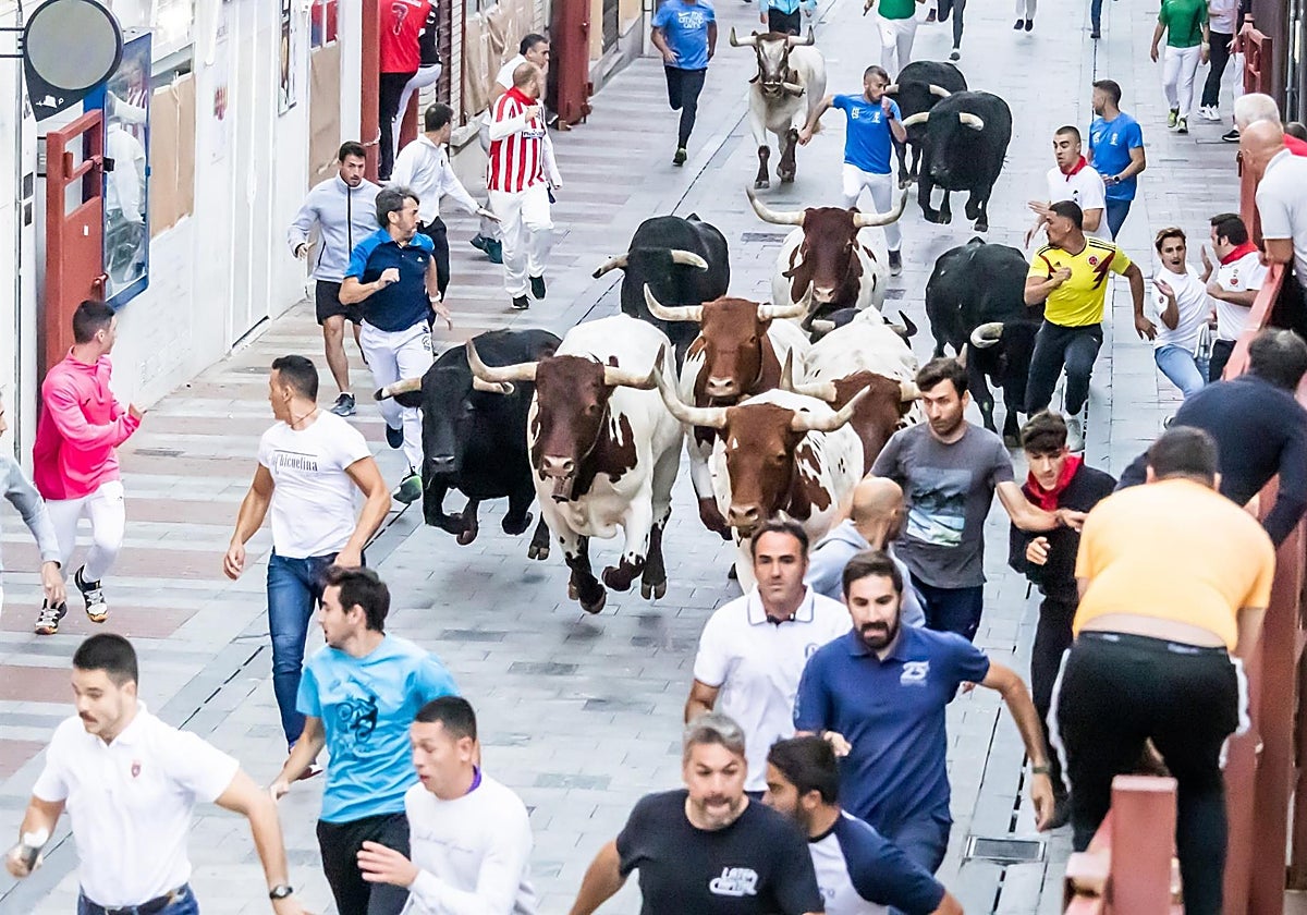 El Ayuntamiento señala que los encierros han vuelto al Casco histórico de Guadalajara para quedarse