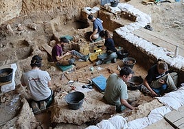 Los caballos más antiguos de Iberia salen a la luz en el yacimiento de La Malia en Tamajón (Guadalajara)