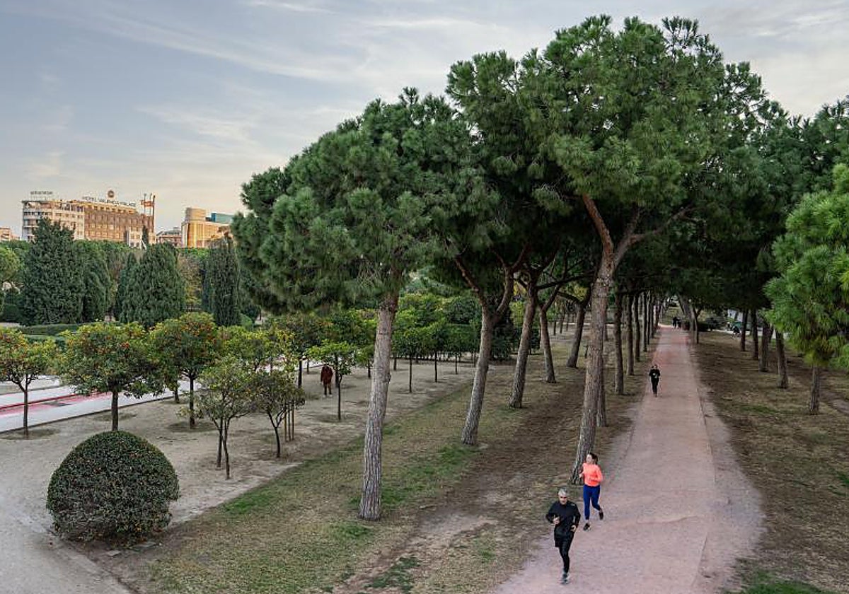 Imagen de archivo del Jardín del Turia