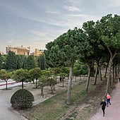 Un ciberataque ruso al Ayuntamiento de Valencia perjudica al sistema de riego del Jardín del Turia