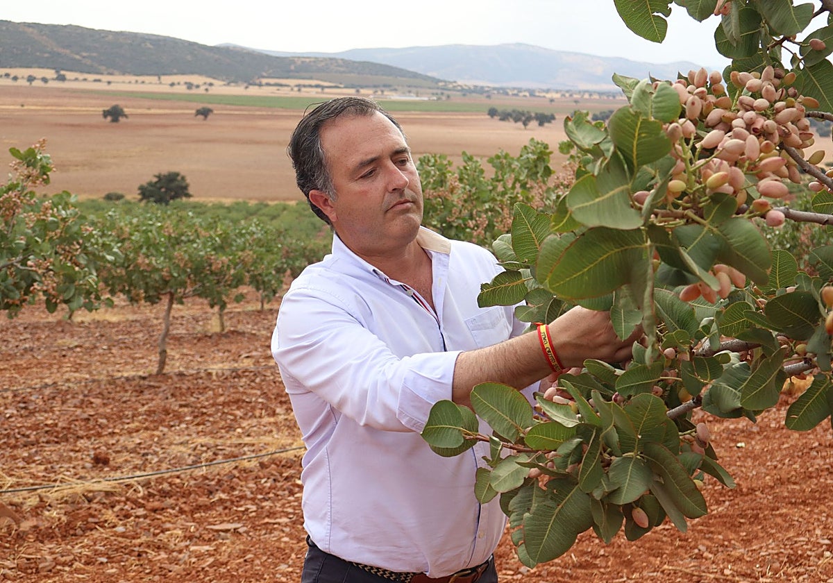 Moreno ha visitado varias explotaciones agrícolas de la provincia de Ciudad Real