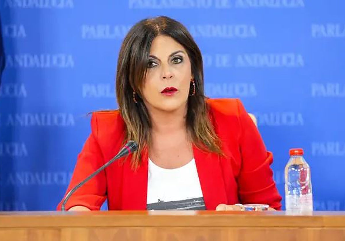 Férriz, durante una rueda de prensa en el Parlamento andaluz