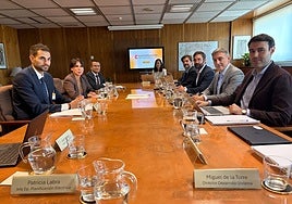 As Pontes tendrá su conexión eléctrica y Altri se queda fuera