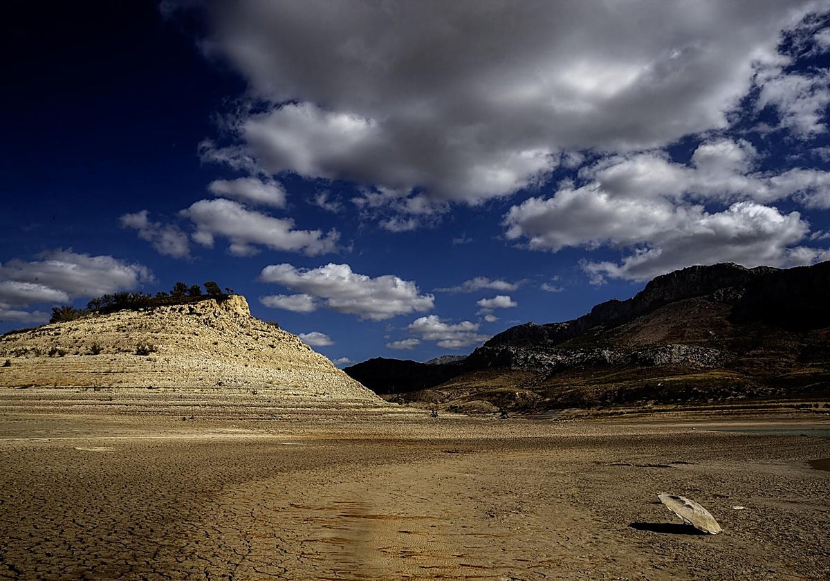 Martínez Lizán, sobre las ayudas de 50 céntimos por la sequía: «Es la superficie que tienen declarada»