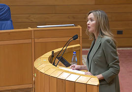 El Gobierno pone en riesgo unas 1.000 declaraciones de discapacidad al mes