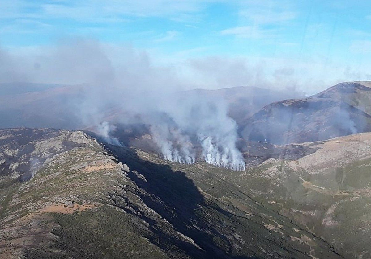 Incendio forestal en Peñalba de la Sierra