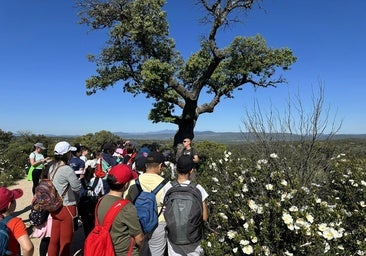 La Diputación de Toledo pone en marcha la segunda edición del programa educativo 'Senderismo Didáctico'