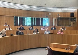 El PSOE de Granada «eleva a los altares» a Sánchez: «Algún día lo haremos santo»