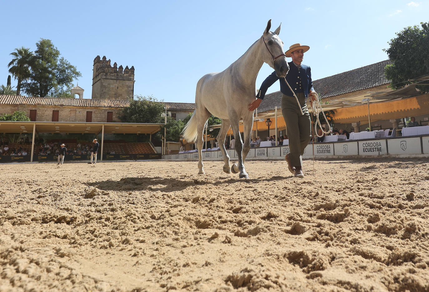 El Concurso Morfológico de caballos &#039;Ciudad de Córdoba&#039;, en imágenes