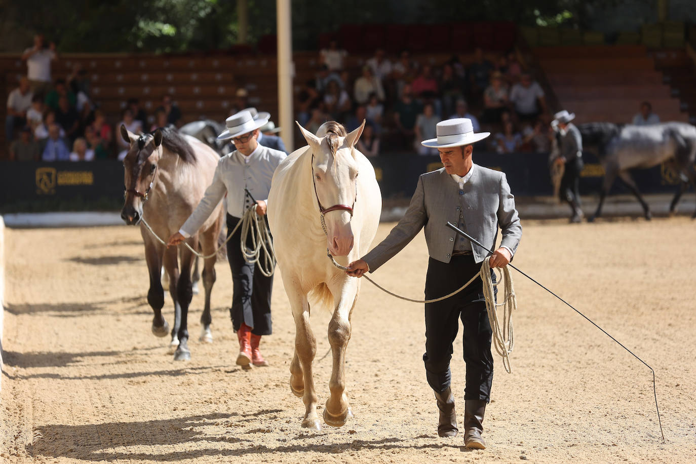 El Concurso Morfológico de caballos &#039;Ciudad de Córdoba&#039;, en imágenes