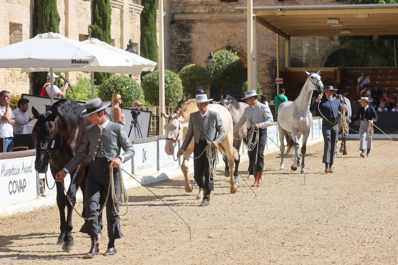 El Concurso Morfológico de caballos &#039;Ciudad de Córdoba&#039;, en imágenes