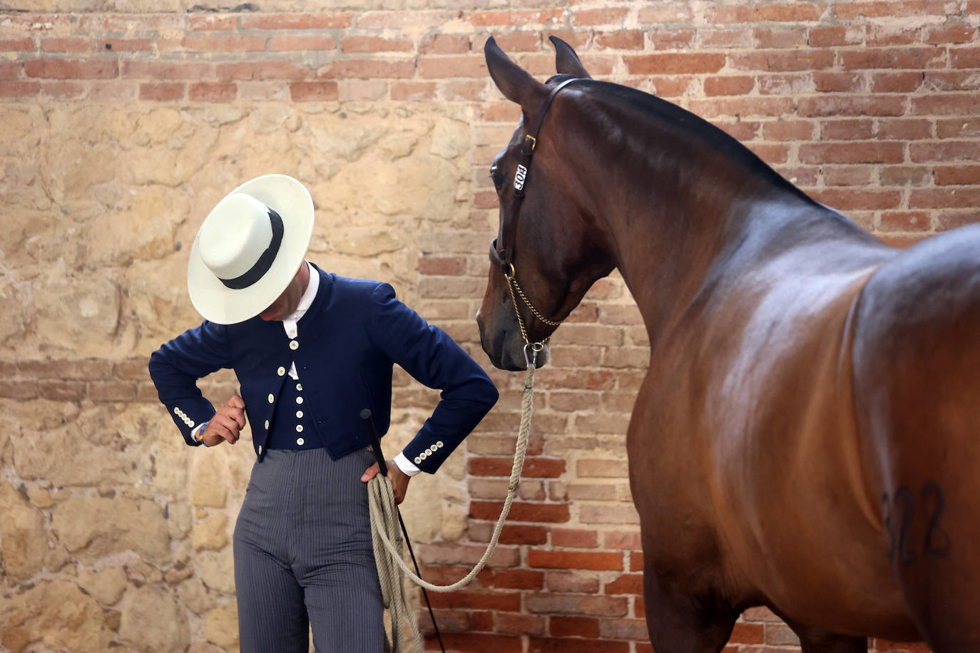 El Concurso Morfológico de caballos &#039;Ciudad de Córdoba&#039;, en imágenes