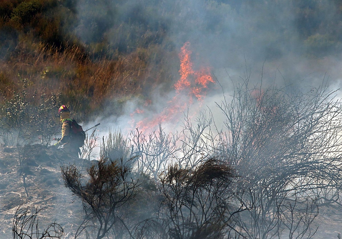 Los medios trabajan para intentar sofocar el incendio declarado en las cercanías de Villasinta de Torío, en el municipio de Villaquilambre (León)