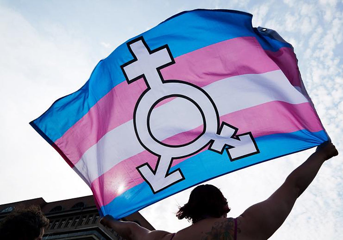 Una persona sujeta una bandera trans y género neutro durante una manifestación en favor de los derechos de los homosexuales y los transexuales en el Día Internacional contra la Homofobia y la Transfobia en Berlín (Alemania)