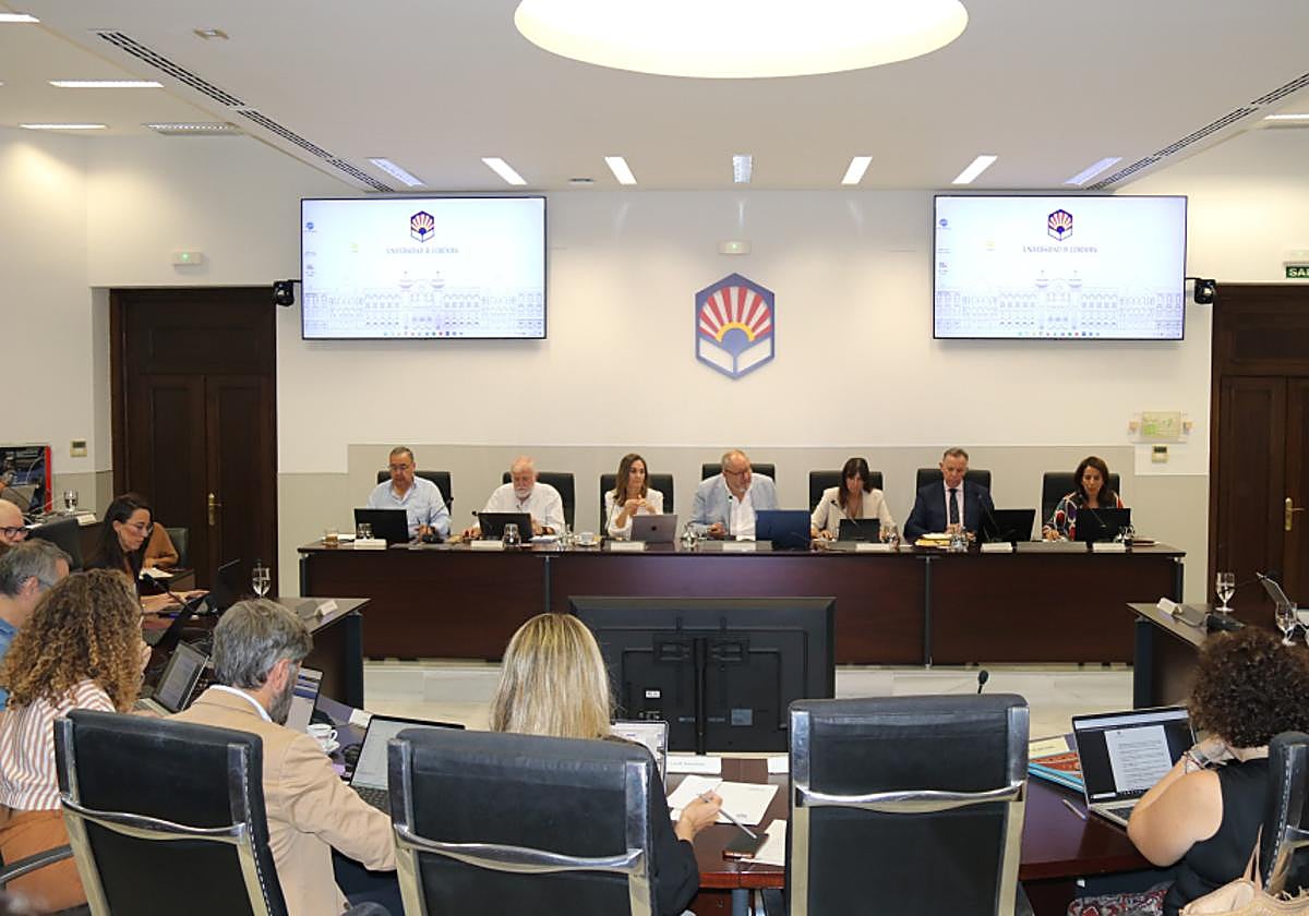 Imagen del Consejo de Gobierno de la UCO celebrado este viernes