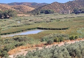 El Gobierno suspenderá este año el contrato de la mejora ambiental en el embalse de Cordobilla