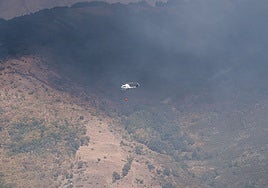 El incendio del Pico de Lobo (Guadalajara), que lleva una semana activo,  arrasa ya 2.800 hectáreas de alto valor ecológico
