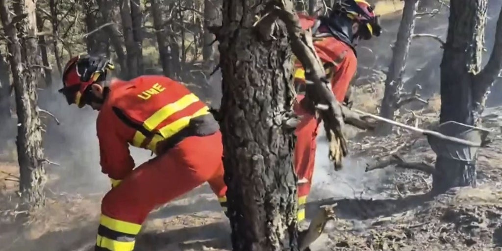 Regresan a sus hogares los vecinos de Cabida y Peñalba de la Sierra tras ser evacuados el viernes por el incendio en el Pico del Lobo (Guadalajara)