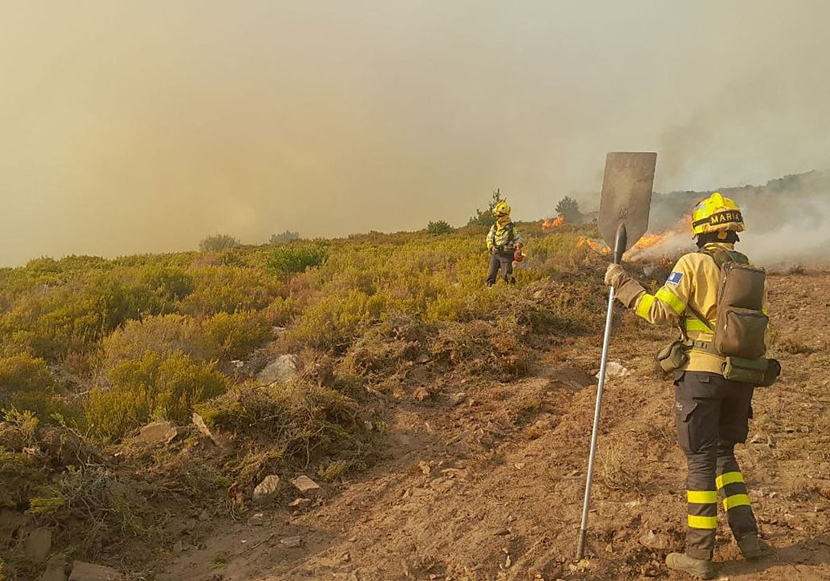 Los efectivos trabajan en la zona afectada por las llamas