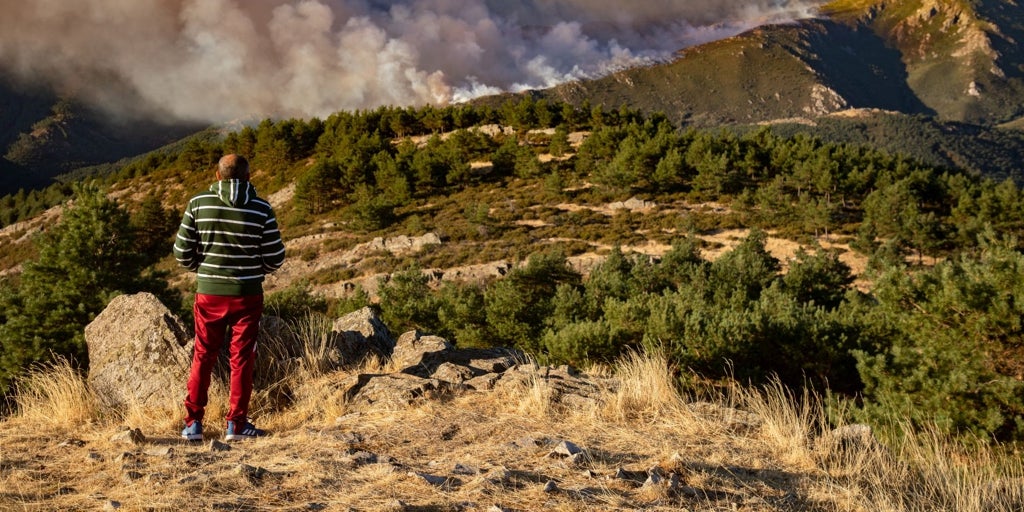 El incendio de Guadalajara entra en Segovia por Cerezo de Arriba y amenaza a poblaciones