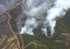 El incendio de Guadalajara entra en Segovia y fuerza a desalojar Riofrío de Riaza y La Pinilla