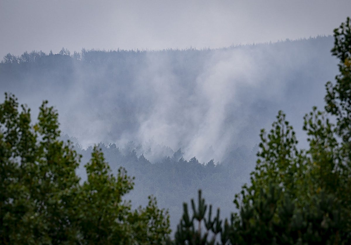 En total 184 efectivos, entre bomberos forestales y agentes medioambientales y personal del Infocam, están desplegados este lunes para contener las llamas