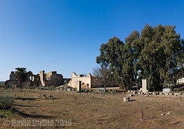 La palabra imaginada (42): Rara música