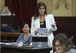 Vox bloquea la ley del PP que impulsa inversiones clave en Baleares por su veto lingüístico