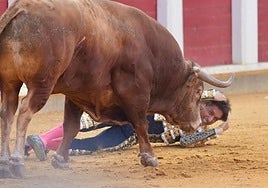 Se suspende la Corrida de la Juventud de Illescas tras caerse Roca Rey del cartel