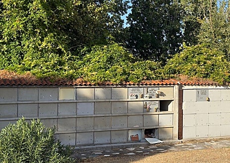 Imagen secundaria 1 - La portavoz del PP en el Ayuntamiento de Illescas, Alejandra Fernández, denuncia el estado de «abandono lamentable» del camposanto antiguo de la localidad estado «lamentable», que presenta vegetación sin controlar, ramas apoyadas peligrosamente sobre los tejados de los nichos y situaciones de deterioro extremo como nichos con ataúdes abiertos, lo que genera un importante foco de insalubridad