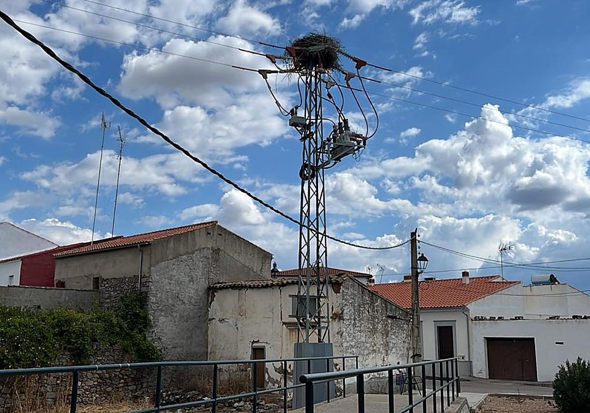 Uno de los nidos de cigüeñas sobre un tendido eléctrico en Conquista