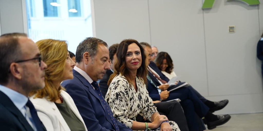 La puesta en carga de 1,5 millones de metros se marca construir 20.000 viviendas protegidas en cinco años en Andalucía