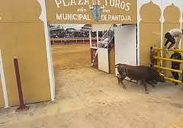 Ingresado en la UVI en Toledo un hombre de 67 años corneado en los encierros de Pantoja