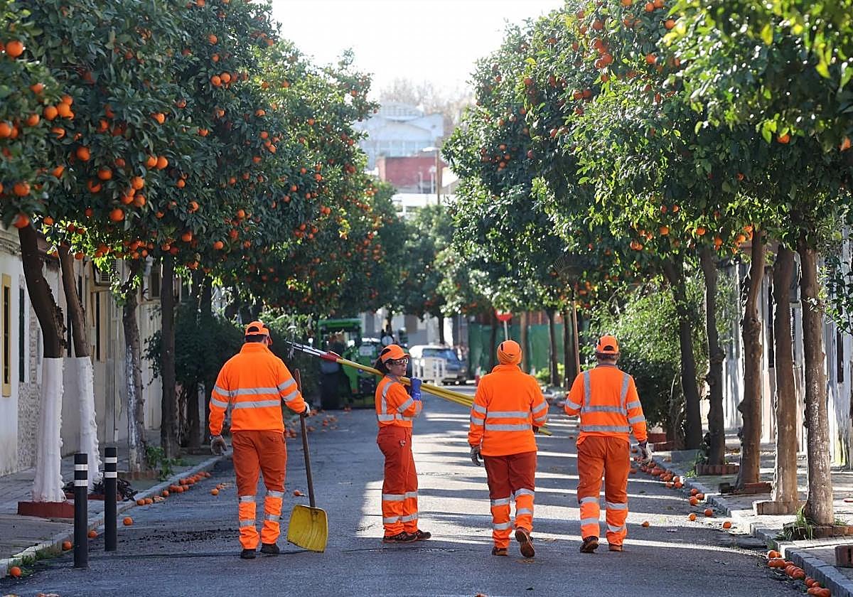 Un grupo de trabajadores de Sadeco