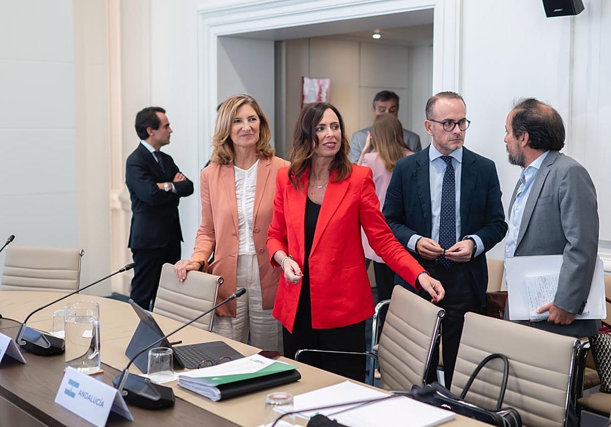 La consejera de Fomento, Rocío Díaz, en la reunión en el Ministerio de este jueves