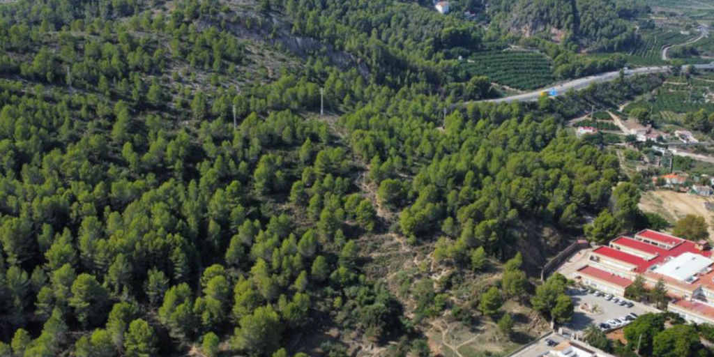 El hallazgo de un cadáver carbonizado mantiene en vilo a Oliva: la autopsia aclarará si es Beatriz Guijarro