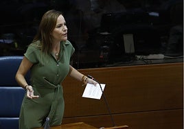 La Asamblea tumba la iniciativa de Vox para expulsar a los menas y reforzar la seguridad en los pueblos «castigados» por la inmigración ilegal