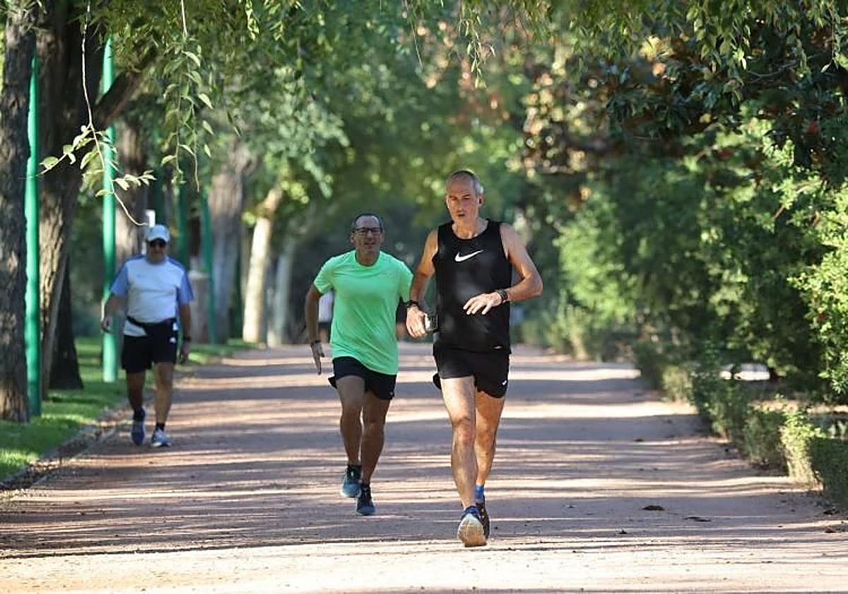 Imagen del Parque Cruz Conde