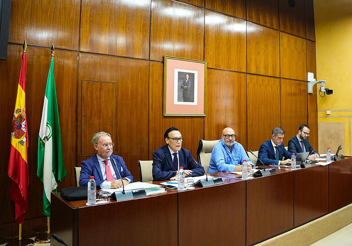 Las universidades públicas andaluzas ofrecen 250 titulaciones más que en 2018