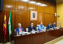 Las universidades públicas andaluzas ofrecen 250 titulaciones más que en 2018