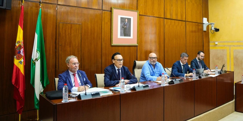 Las universidades públicas andaluzas ofrecen 250 titulaciones más que en 2018