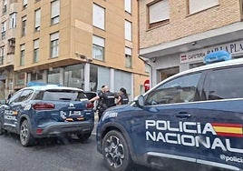 Detenido en Lucena por un presunto intento de abuso sexual a una menor de cuatro años