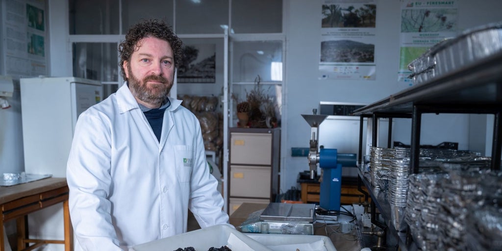Javier Madrigal: «La regeneración natural de Las Médulas va a ser buena. Sus especies están adaptadas a los incendios»