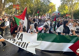 Manifestación pro-Palestina en Madrid sin presencia del PSOE