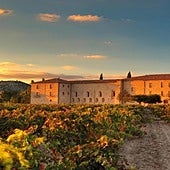 El lugar de Valladolid elegido por la hija de Antonio Banderas para celebrar su boda: dónde está y cuánto dinero cuesta