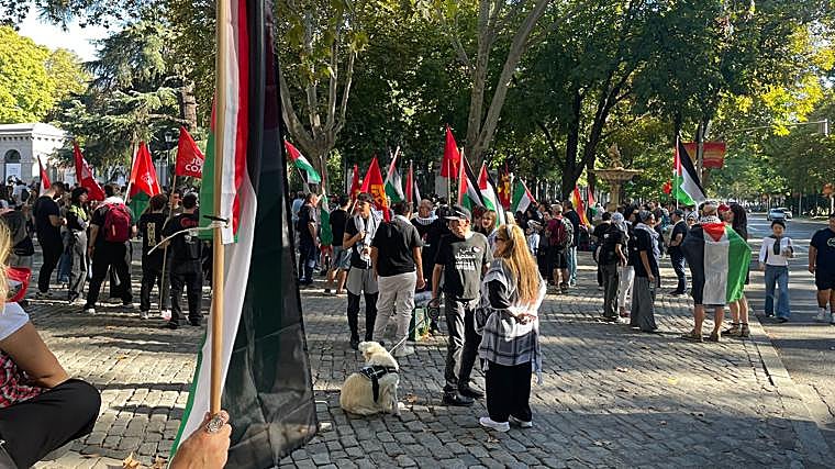 Asistentes a la manifestación en Madrid