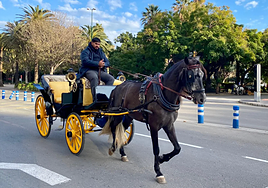 Málaga completa la retirada de los coches de caballos