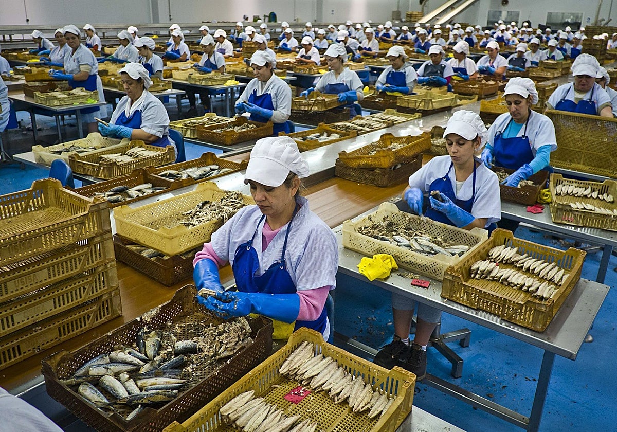 Fábrica de conservas en una imagen de archivo